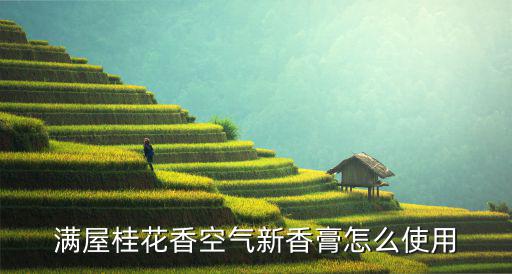 满屋桂花香空气新香膏怎么使用