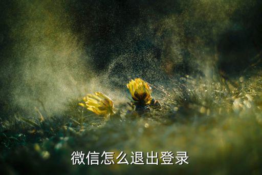 微信怎么退出登录