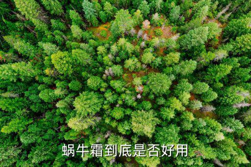 蜗牛霜到底是否好用