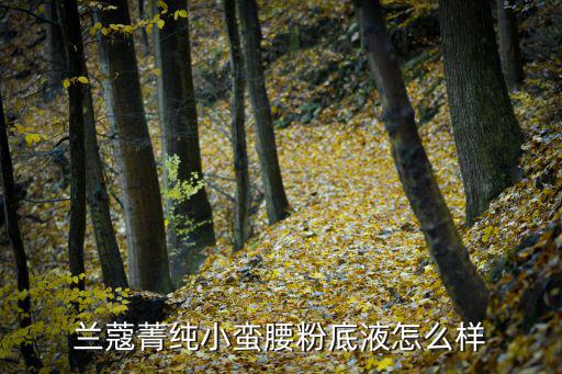 兰蔻菁纯小蛮腰粉底液怎么样