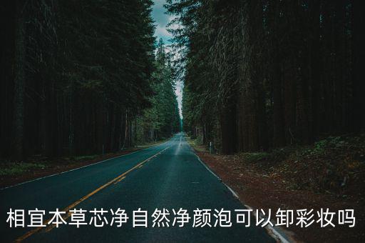 相宜本草芯净自然净颜泡可以卸彩妆吗