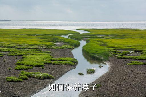 怎么护理脖子,脖子如何清洁