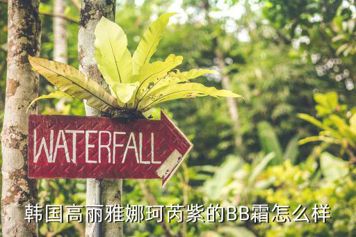 韩国高丽雅娜珂芮紫的BB霜怎么样