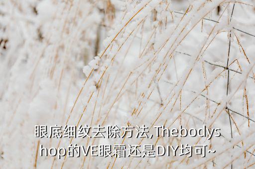 眼底细纹去除方法,Thebodyshop的VE眼霜还是DIY均可~