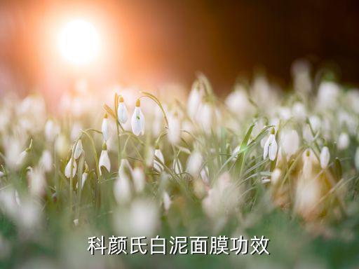 科颜氏白泥面膜功效