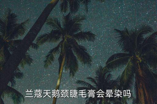 兰蔻天鹅颈睫毛膏会晕染吗