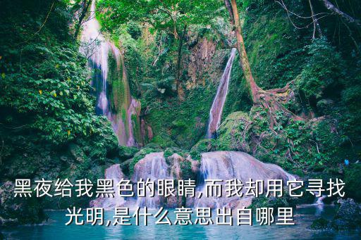 黑夜给我黑色的眼睛,而我却用它寻找光明,是什么意思出自哪里