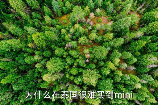 为什么在泰国很难买到mini