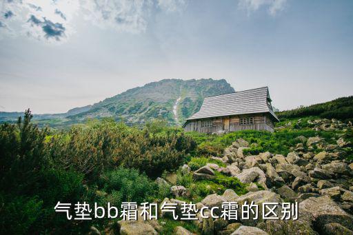 气垫bb霜和气垫cc霜的区别