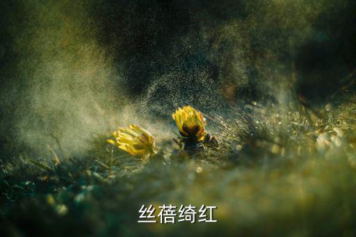 丝蓓绮红