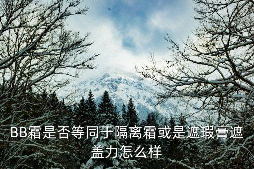 BB霜是否等同于隔离霜或是遮瑕膏遮盖力怎么样