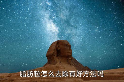 脂肪粒怎么去除有好方法吗