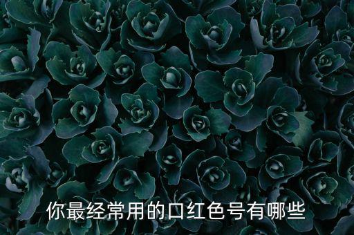 你最经常用的口红色号有哪些