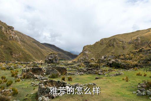 雅芳的怎么样
