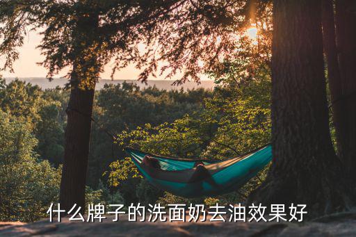 什么牌子的洗面奶去油效果好