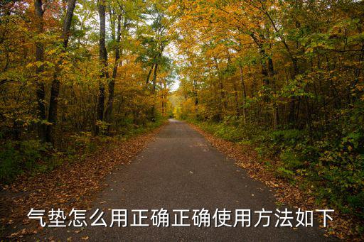 气垫怎么用正确正确使用方法如下
