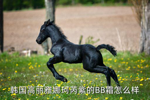 高丽雅娜祛斑霜怎么样,雅娜美白祛斑霜有效吗