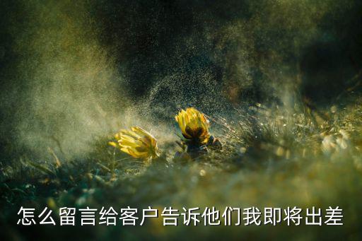 怎么留言给客户告诉他们我即将出差