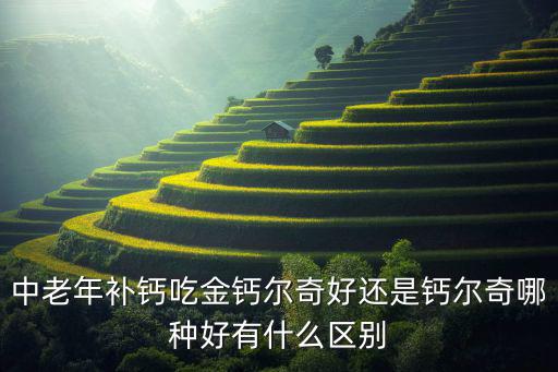 中老年补钙吃金钙尔奇好还是钙尔奇哪种好有什么区别