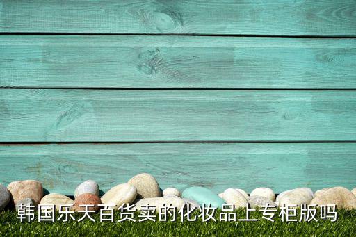 韩国乐天百货卖的化妆品上专柜版吗