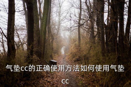 欧佩气垫cc怎么样,如何使用气垫cc?