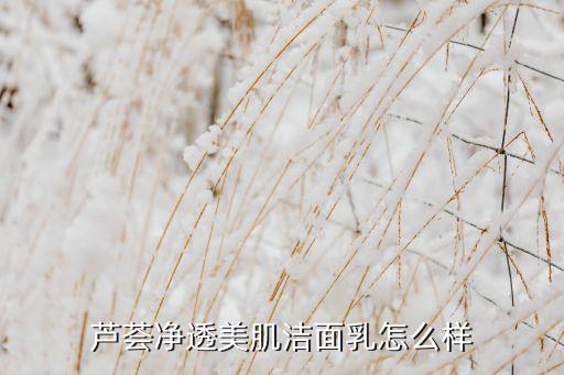 芦荟净透美肌洁面乳怎么样