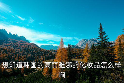 想知道韩国的高丽雅娜的化妆品怎么样啊