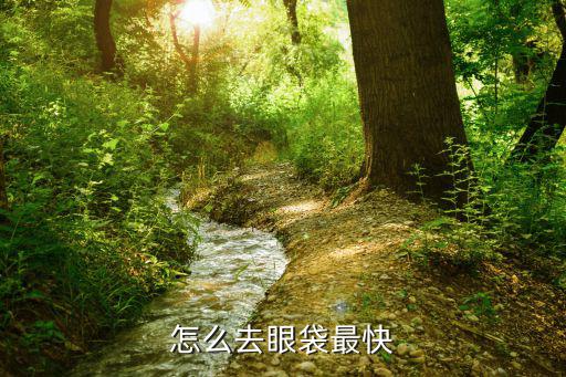 怎么去眼袋最快