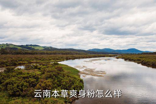云南本草爽身粉怎么样