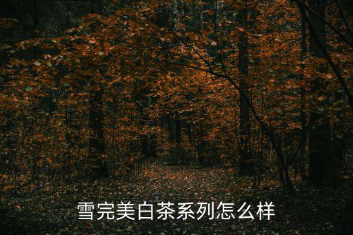 雪完美白茶系列怎么样