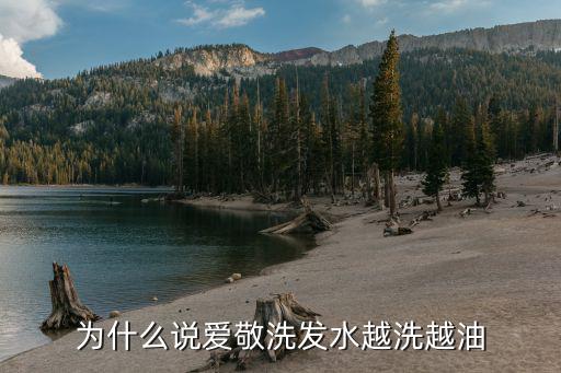 为什么说爱敬洗发水越洗越油