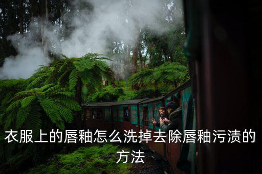 衣服上的唇釉怎么洗掉去除唇釉污渍的方法