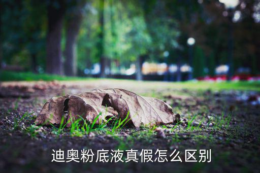  迪奥粉底液真假怎么区别