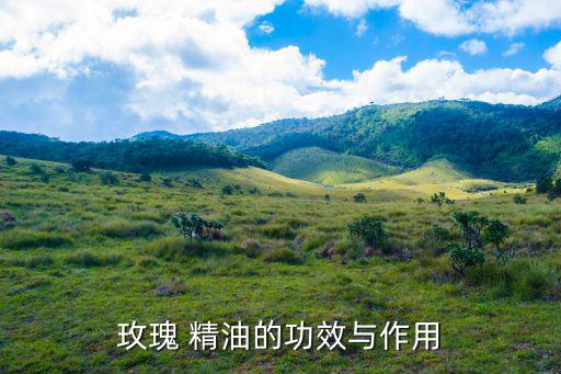 花木园精油怎么样,桂花精油2蒸馏法:最原始提取方法