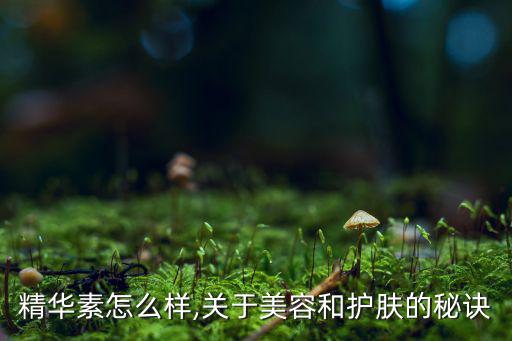 V7精华素怎么样,关于美容和护肤的秘诀