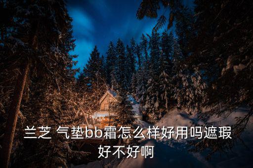  兰芝 气垫bb霜怎么样好用吗遮瑕好不好啊