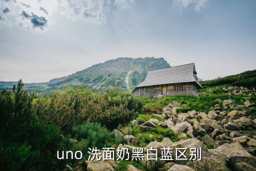  uno 洗面奶黑白蓝区别
