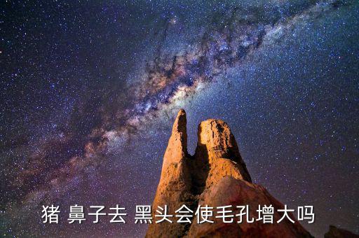 猪鼻子黑头贴怎么样,猪鼻贴三部曲对黑头有什么效果?