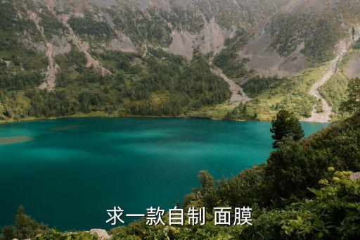 求一款自制 面膜