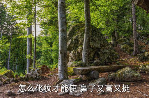 怎么化妆才能使 鼻子又高又挺