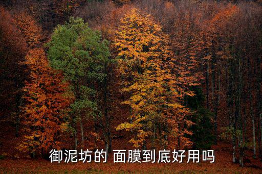  御泥坊的 面膜到底好用吗