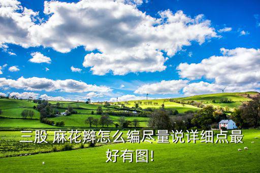  三股 麻花辫怎么编尽量说详细点最好有图!