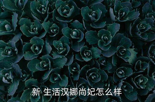 新 生活汉娜尚妃怎么样