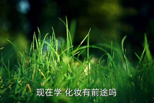 现在学 化妆有前途吗