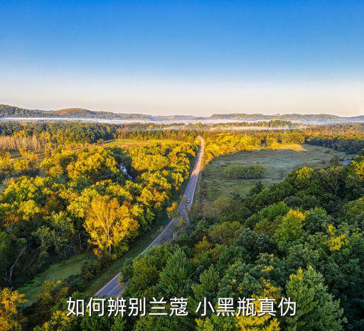 如何辨别兰蔻 小黑瓶真伪