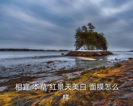  相宜 本草 红景天美白 面膜怎么样
