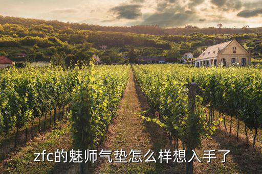  zfc的魅师气垫怎么样想入手了
