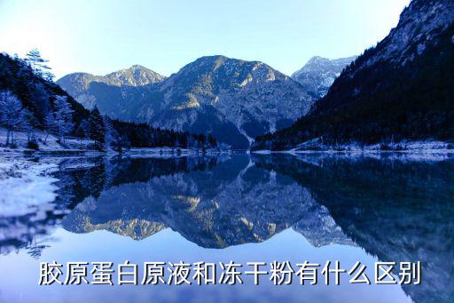 胶原蛋白原液和冻干粉有什么区别