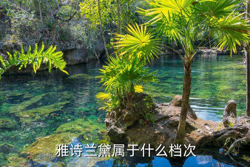 雅诗兰黛 高端系列怎么样,雅诗兰戴旗下品牌唇红分三种颜色