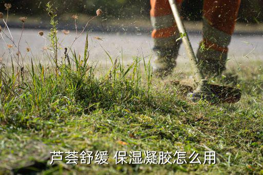 芦荟保湿霜怎么用,芦荟舒缓啫喱可当面霜使用吗?